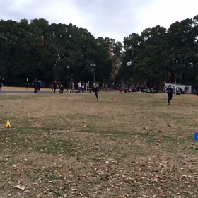 10色リレー ④の画像