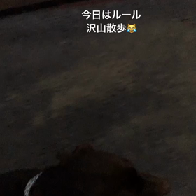 おはようございます。の画像