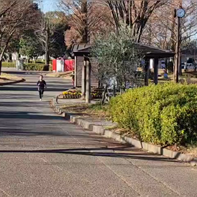 12/29 1000m②の画像