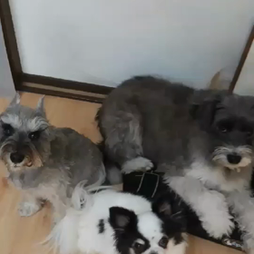 動いちゃう子はいないかな？の画像