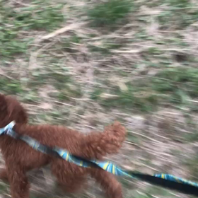 ♪お散歩動画♪代々木公園♪の画像