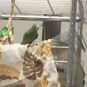 まぁ色々との画像