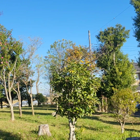 リラックスの画像