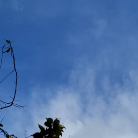 今密かな楽しみと化してるとある動画・・・なお話の画像