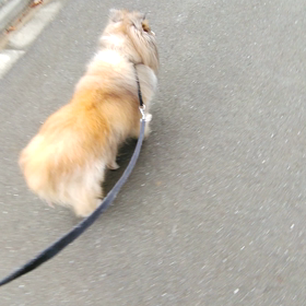 そんなに経ったのかの画像