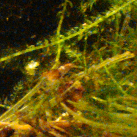 この子はの画像