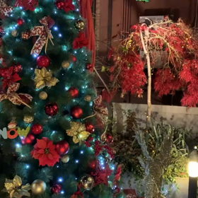 cafe 89mansion インスタストーリーの画像