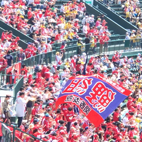 ⚾️恋しくなったらの画像