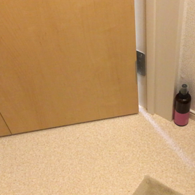 タイミングを計るネコの画像