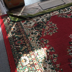 ムービーの画像