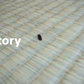 ダンゴムシさんの画像