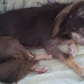 季節のかわりめのせいでしょうか…。の画像