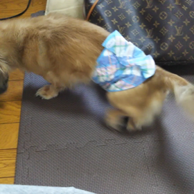 2017年最後の画像