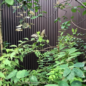 目まぐるしい変化の画像