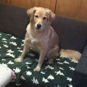 おはよーの画像