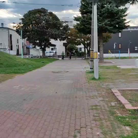 LIFEランナー先生たちの競争をやりましたの画像