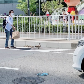 優しい男性にほっこり（＾Ｏ＾☆♪の画像