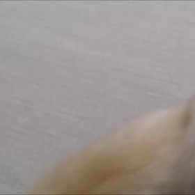 脳腫瘍グリオーマといわれて　【　始まり　～　現在まで　㉘　】の画像