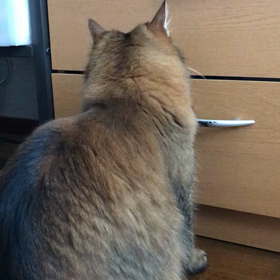 GWやっと終わった‼️の画像