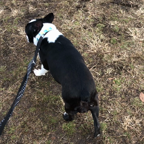 ♪お散歩動画♪代々木公園♪の画像