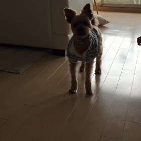 どっちに行こうかな❔の画像