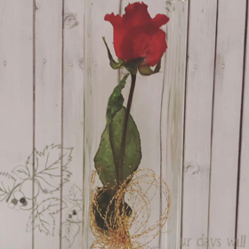 一輪挿し♪の画像