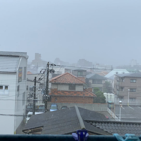 いきなり、暴雨に。の画像