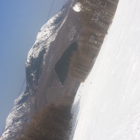 ミラクルの画像