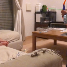 弓矢の天才の画像