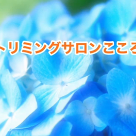 スライドショーの画像