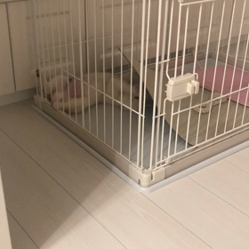 ちょっとふてくされると・・の画像