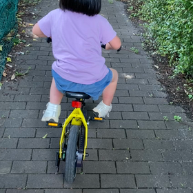 最近の様子。の画像