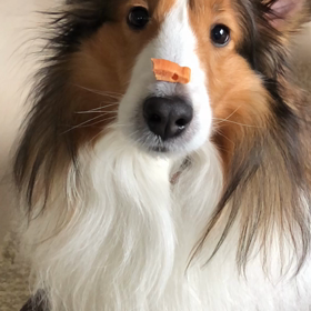 沢山のお祝いメッセージ。の画像