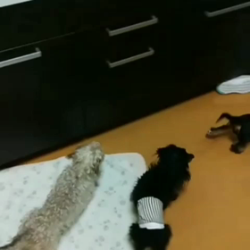 今日の我が家の風景の画像