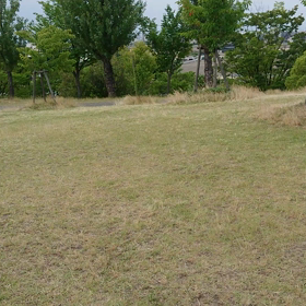 登り降りのリハビリが効果あり！の画像