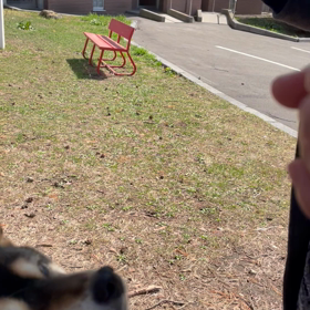 トラピストの巻巻の画像