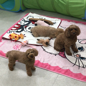 ♪プレイルーム動画♪②の画像