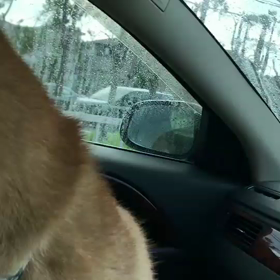 初体験。の画像