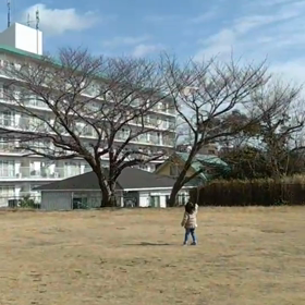 凧あげ娘の画像