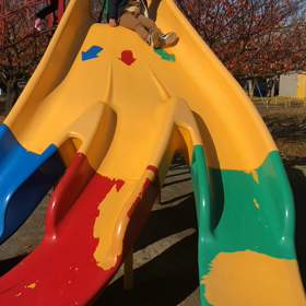 バナナ滑りだいの画像