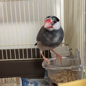 朝一のご飯の食べ方の画像