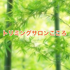 スライドショーの画像