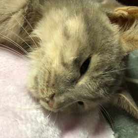 しまちゃん。。の画像