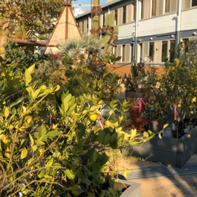 シェアグリーン南青山の画像