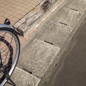 2018年啓蟄5日め にこる、お出迎えの画像