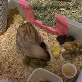 束の間の休憩の画像