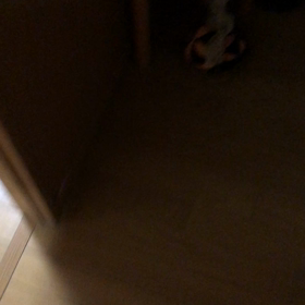 ひいばあちゃんが、孫とひ孫の家から帰ってきた。の画像