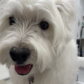 病院の時期の画像