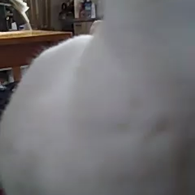 .a10     ヒロくんの画像