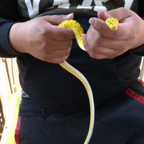 触れる系？！グリンパイの画像